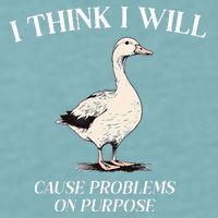 I Think I Will Cause Problems On Purpose Meme Goose Duck Sueded Cloud Jersey T-Shirt