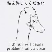I Think I Will Cause Problems On Purpose Flat Bill Trucker Hat