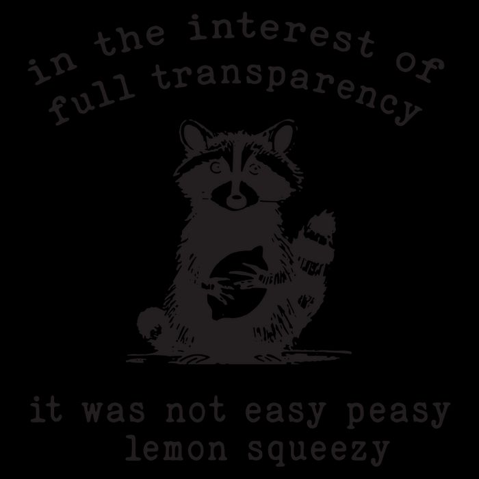 In The Insterest Of Full Transparency It Was Not Easy Peasy Lemon Squeezy 16 in Basic Backpack