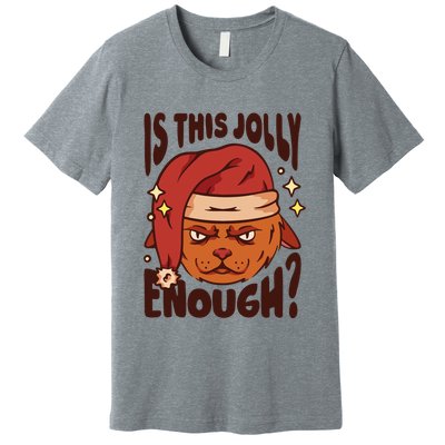 Is This Jolly Enough Anti Christmas Premium T-Shirt