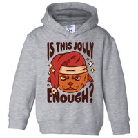 Is This Jolly Enough Anti Christmas Toddler Hoodie