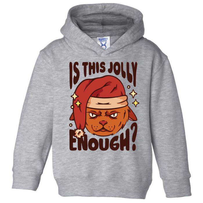 Is This Jolly Enough Anti Christmas Toddler Hoodie