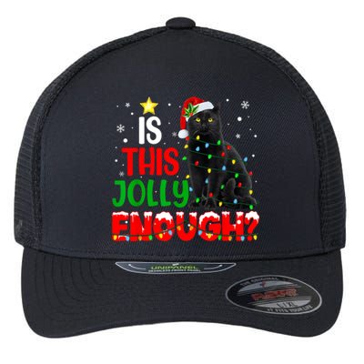 Is This Jolly Enough Funny Cat Xmas Tree Flexfit Unipanel Trucker Cap