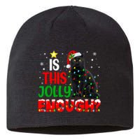 Is This Jolly Enough Funny Cat Xmas Tree Sustainable Beanie