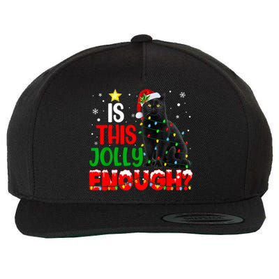 Is This Jolly Enough Funny Cat Xmas Tree Wool Snapback Cap