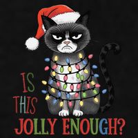 Is This Jolly Enough Xmas Grumpy Christmas Cat Ladies PosiCharge Tri-Blend Wicking Tank