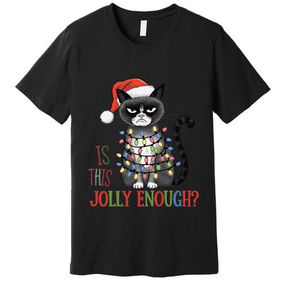 Is This Jolly Enough Xmas Grumpy Christmas Cat Premium T-Shirt
