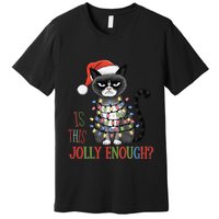Is This Jolly Enough Xmas Grumpy Christmas Cat Premium T-Shirt