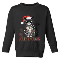 Is This Jolly Enough Xmas Grumpy Christmas Cat Toddler Sweatshirt