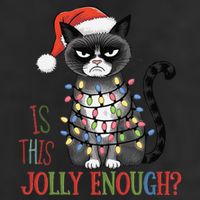 Is This Jolly Enough Xmas Grumpy Christmas Cat Trucker Hat