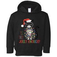 Is This Jolly Enough Xmas Grumpy Christmas Cat Toddler Hoodie