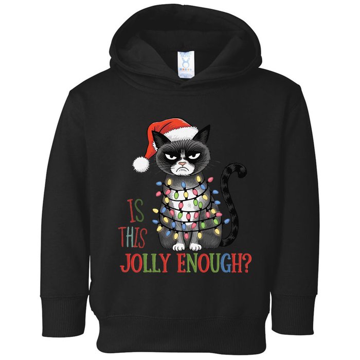 Is This Jolly Enough Xmas Grumpy Christmas Cat Toddler Hoodie