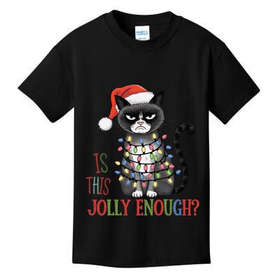 Is This Jolly Enough Xmas Grumpy Christmas Cat Kids T-Shirt