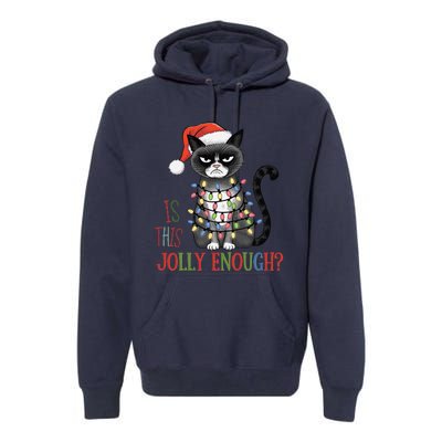 Is This Jolly Enough Xmas Grumpy Christmas Cat Premium Hoodie