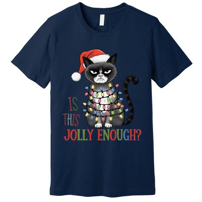 Is This Jolly Enough Xmas Grumpy Christmas Cat Premium T-Shirt