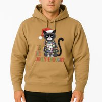 Is This Jolly Enough Xmas Grumpy Christmas Cat Hoodie