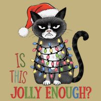 Is This Jolly Enough Xmas Grumpy Christmas Cat Button