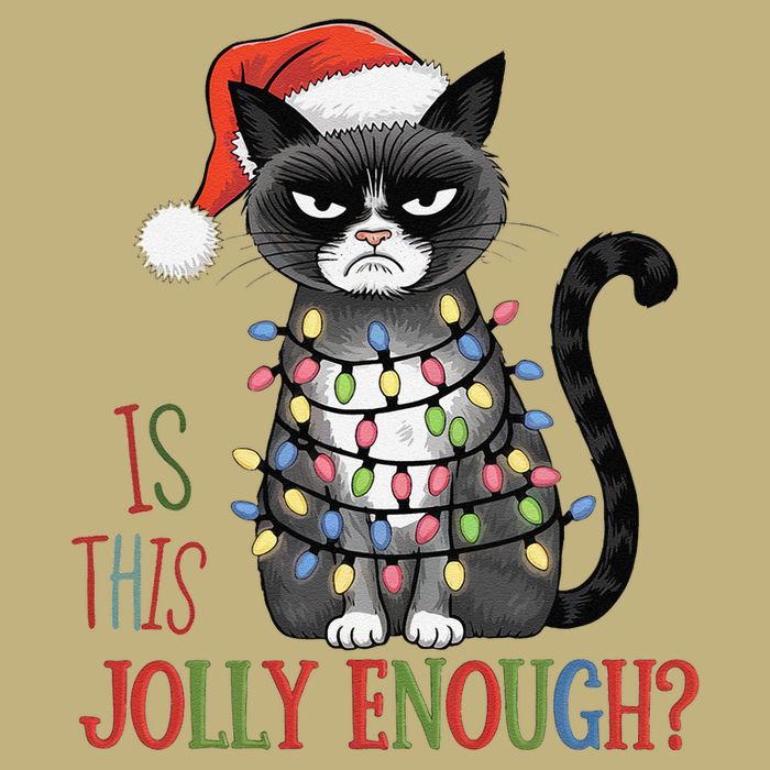 Is This Jolly Enough Xmas Grumpy Christmas Cat Button