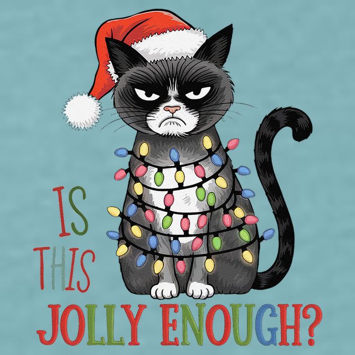 Is This Jolly Enough Xmas Grumpy Christmas Cat Sueded Cloud Jersey T-Shirt
