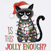 Is This Jolly Enough Xmas Grumpy Christmas Cat Garment-Dyed Sweatshirt