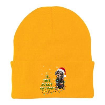 Is This Jolly Enough Santa Dachshund Light Christmas Gift Knit Cap Winter Beanie