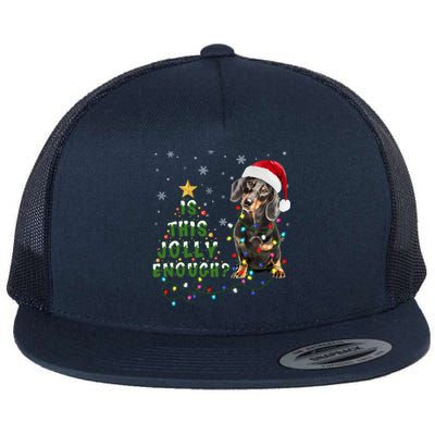 Is This Jolly Enough Santa Dachshund Light Christmas Gift Flat Bill Trucker Hat