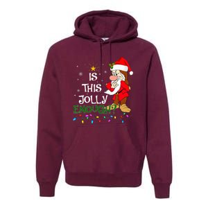 Is This Jolly Enough Grumpy Elf Pajama Christmas Lights Premium Hoodie