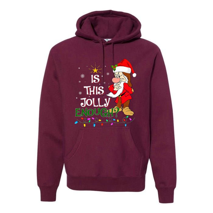 Is This Jolly Enough Grumpy Elf Pajama Christmas Lights Premium Hoodie