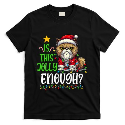Is This Jolly Enough Christmas Cat Funny Santa Hat Women T-Shirt