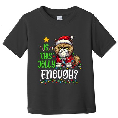Is This Jolly Enough Christmas Cat Funny Santa Hat Women Toddler T-Shirt