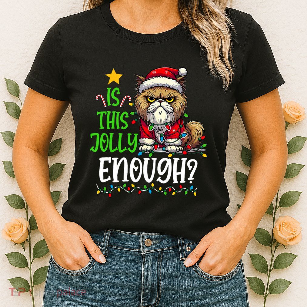 Is This Jolly Enough Christmas Cat Funny Santa Hat Women Womens T-Shirt