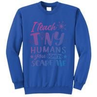 I Teach Kinder Kindergarten Teacher Team Cute Gift Sweatshirt