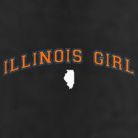 Illinois The Land Of Lincoln Adult Drive Performance Visor