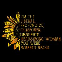 IM The Liberal Woman You Were Warned About Tie-Dye T-Shirt