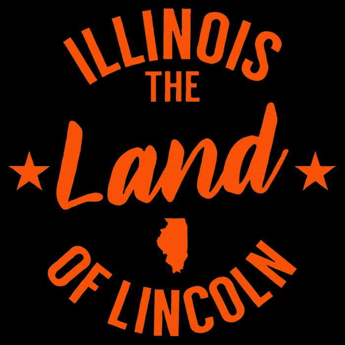 Illinois The Land Of Lincoln 16 in Basic Backpack
