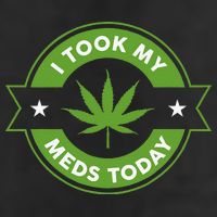 I Took My Meds Today Marijuana Funny Weed Cannabis Sayings 7 Panel Mesh Trucker Snapback Hat