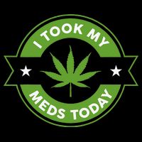 I Took My Meds Today Marijuana Funny Weed Cannabis Sayings Toddler T-Shirt