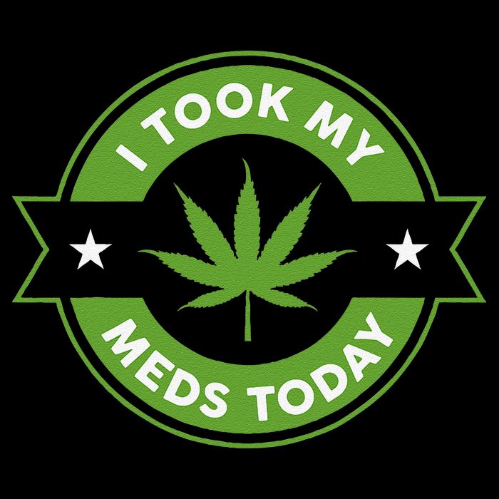 I Took My Meds Today Marijuana Funny Weed Cannabis Sayings Toddler T-Shirt