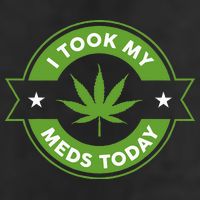 I Took My Meds Today Marijuana Funny Weed Cannabis Sayings 7 Panel Mesh Trucker Snapback Hat