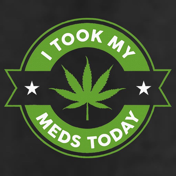 I Took My Meds Today Marijuana Funny Weed Cannabis Sayings 7 Panel Mesh Trucker Snapback Hat