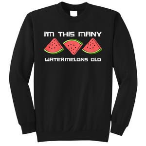 I'm This Many Watermelons Old 3rd Birthday 3 Years Old Sweatshirt