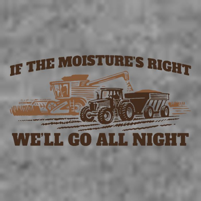 If The Moistures Right WeLl Go All Night Tall Hoodie