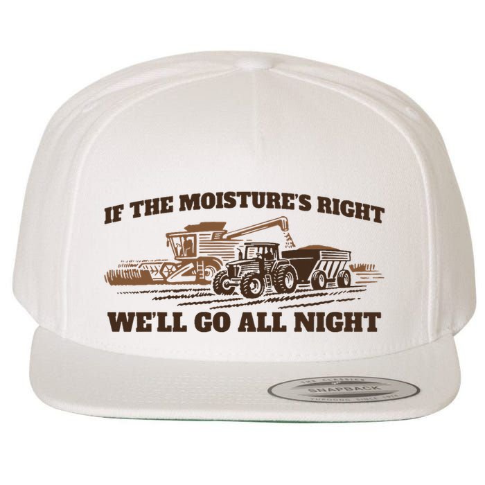 If The Moistures Right WeLl Go All Night Wool Snapback Cap