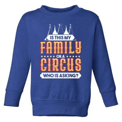 Is This My Family Or A Circus Who Is Asking Circus Gift Toddler Sweatshirt