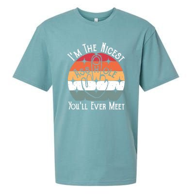 Im The Nicest Asshole You Will Ever Meet Funny Saying Sueded Cloud Jersey T-Shirt