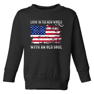 In The New World With An Old Soul America Flag Toddler Sweatshirt