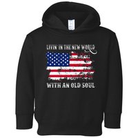 In The New World With An Old Soul America Flag Toddler Hoodie