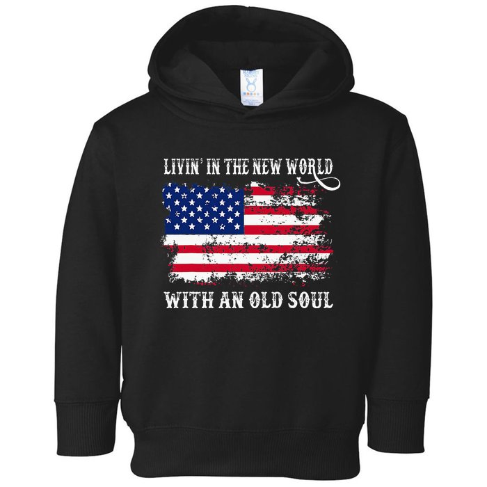 In The New World With An Old Soul America Flag Toddler Hoodie