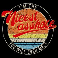 I'm The Nicest Asshole You'll Ever Meet Funny Saying Women's V-Neck T-Shirt