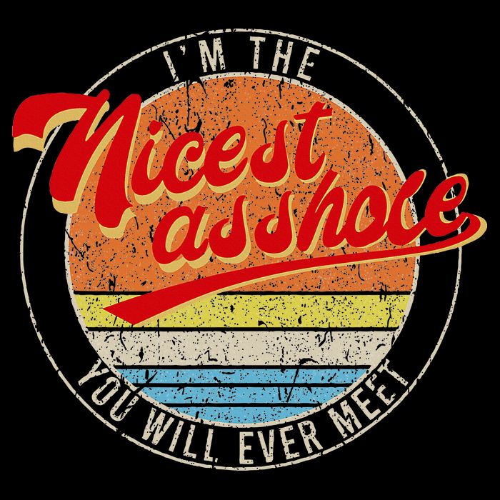 I'm The Nicest Asshole You'll Ever Meet Funny Saying Women's V-Neck T-Shirt